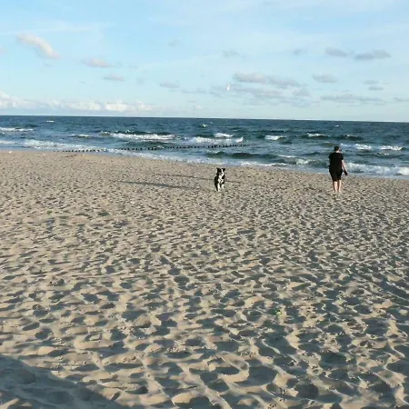 Gardenia Mare Baltic