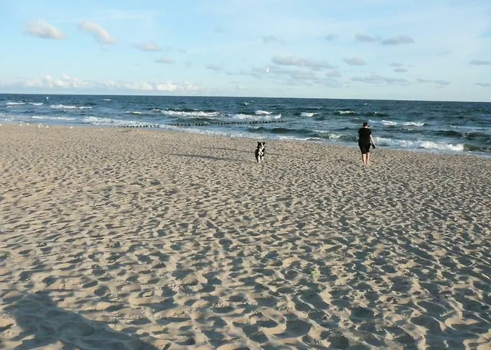 Gardenia Mare Baltic