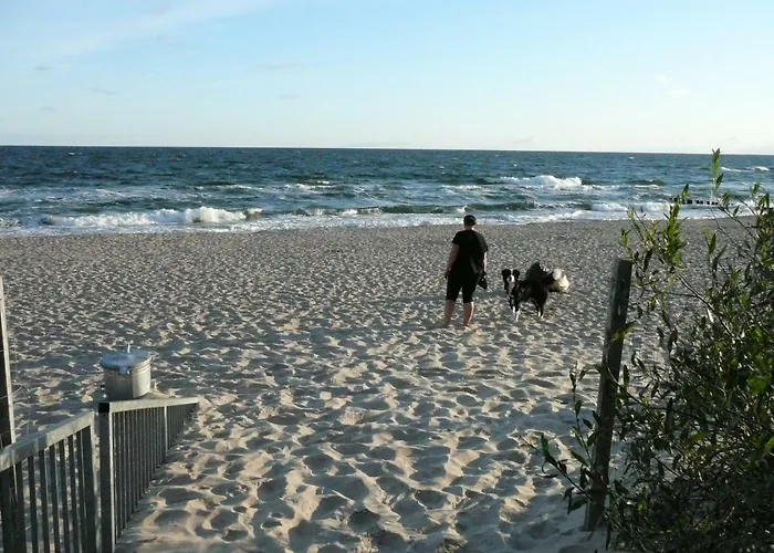 Apartmán Gardenia Mare Baltic *